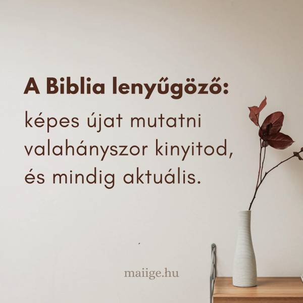 A Biblia lenyűgöző: képes újat mutatni valahányszor kinyitod, és mindig aktuális.