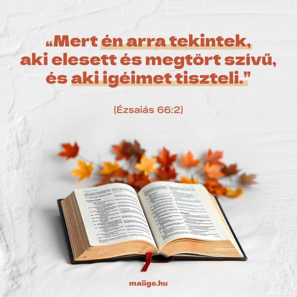 „Mert én arra tekintek, aki elesett és megtört szívű, és aki igéimet tiszteli.” (Ézsaiás 66:2) 