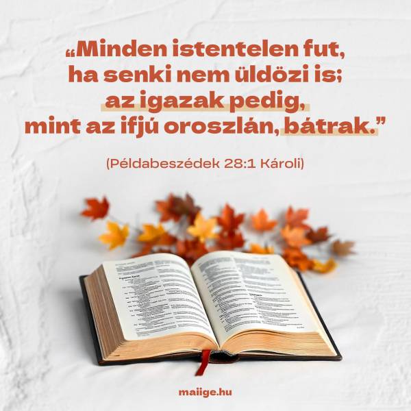 „Minden istentelen fut, ha senki nem üldözi is; az igazak pedig, mint az ifjú oroszlán, bátrak.” (Példabeszédek 28:1 Károli) 