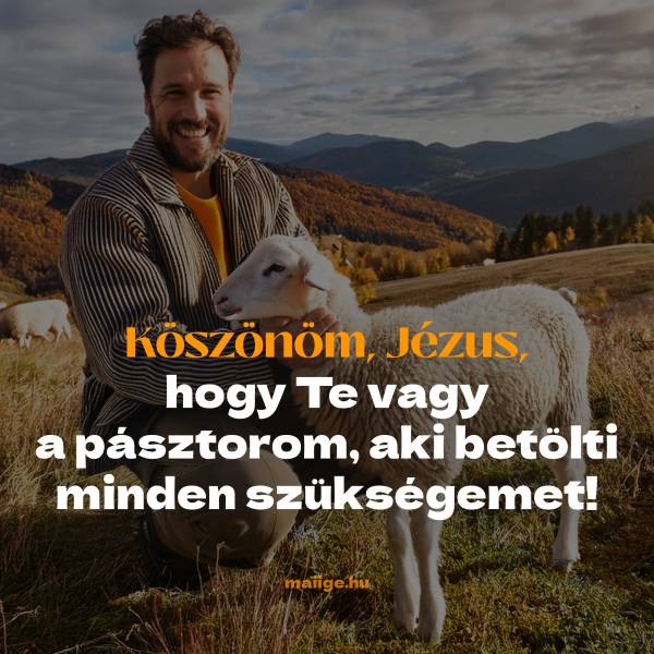 Köszönöm, Jézus, hogy Te vagy a pásztorom, aki betölti minden szükségemet! 