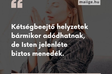 Igefolyam #8478